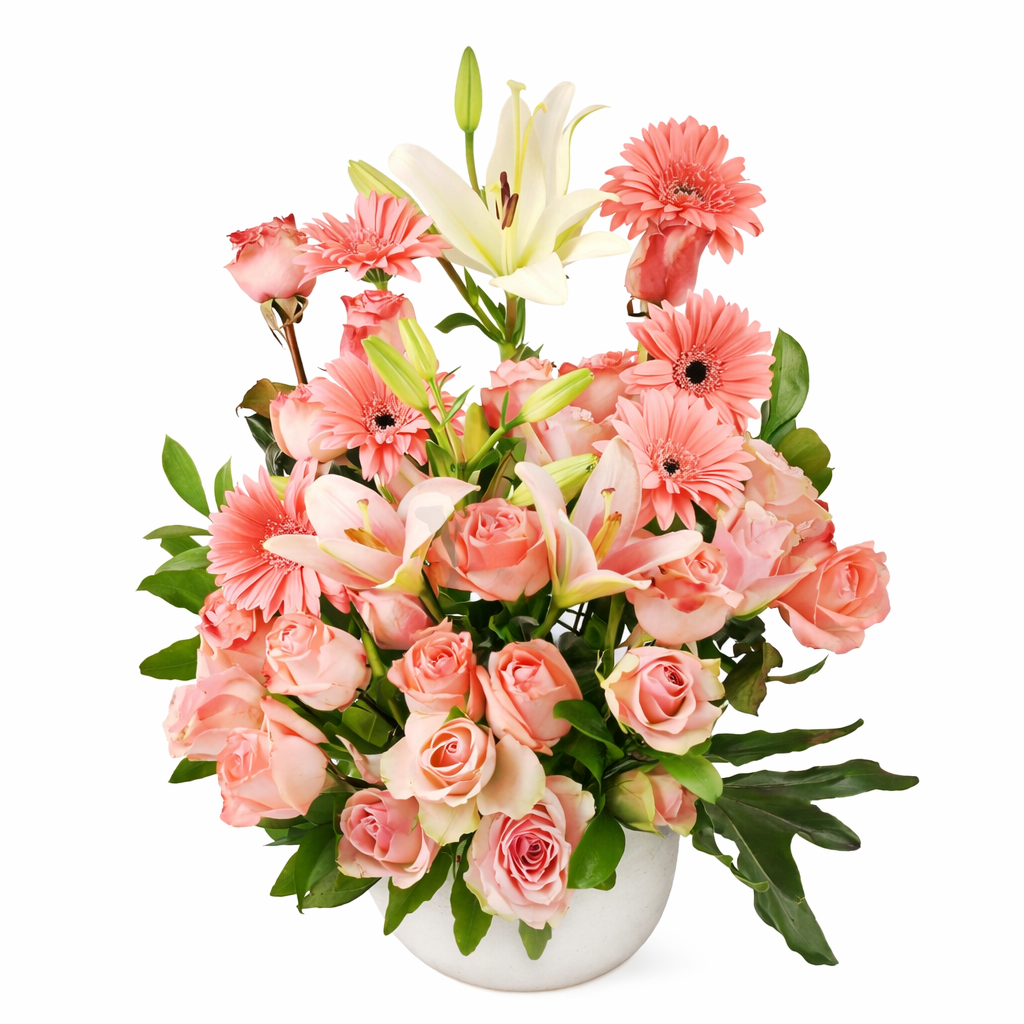 Pink Harmony Bloom
