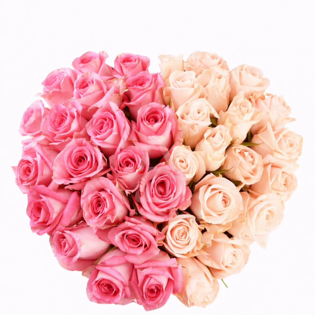 Blush Harmony Heart