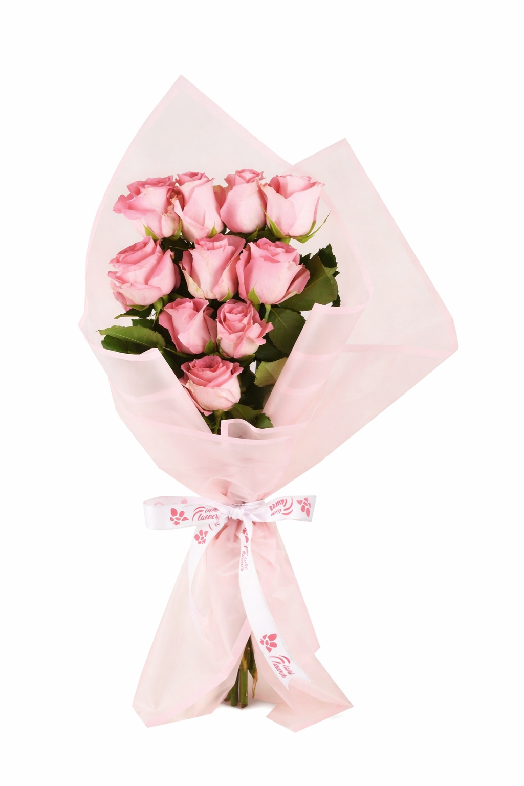 Classic Pink Roses